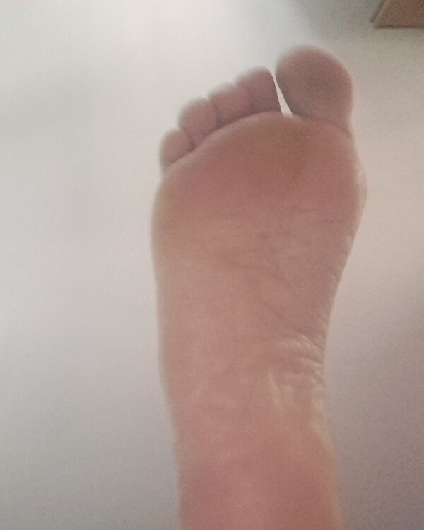 Mutande calze scarpe