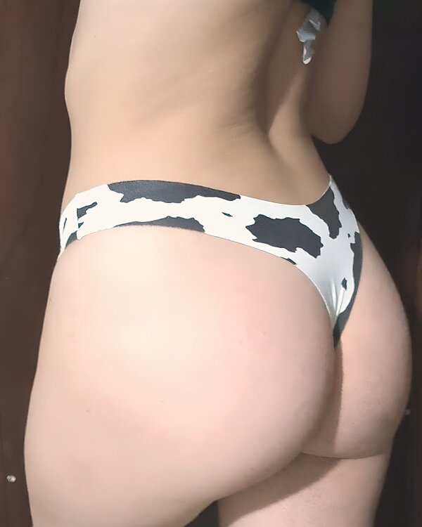 Brasiliane mucca