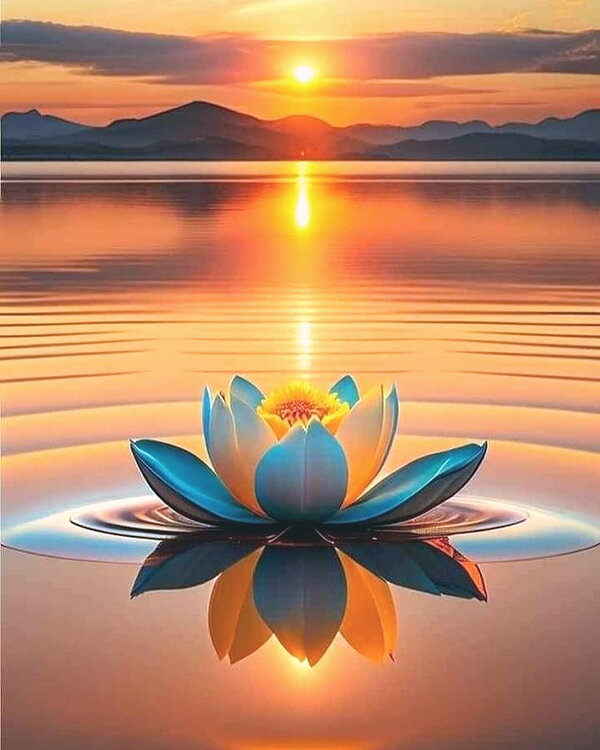 aLittleMilf