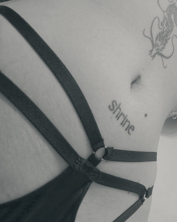 catwithwings
