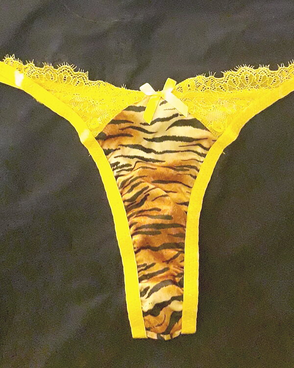 tanga tezenis 🐯😸