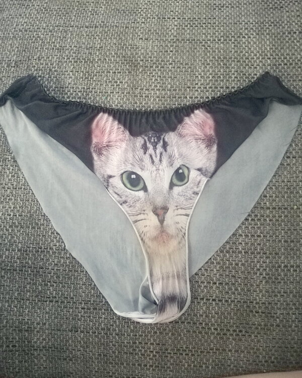 Mutandina con gatto